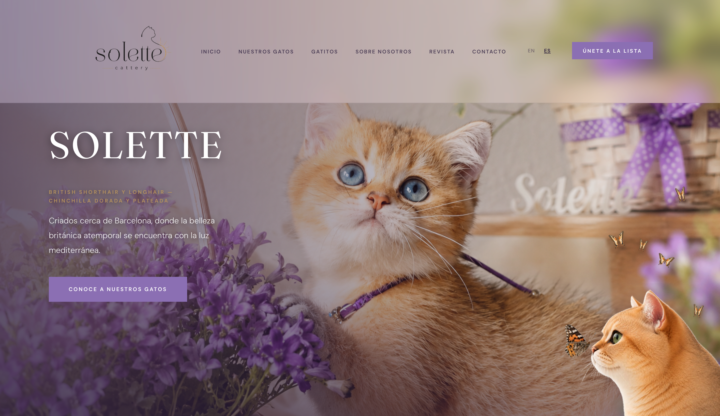 Solette